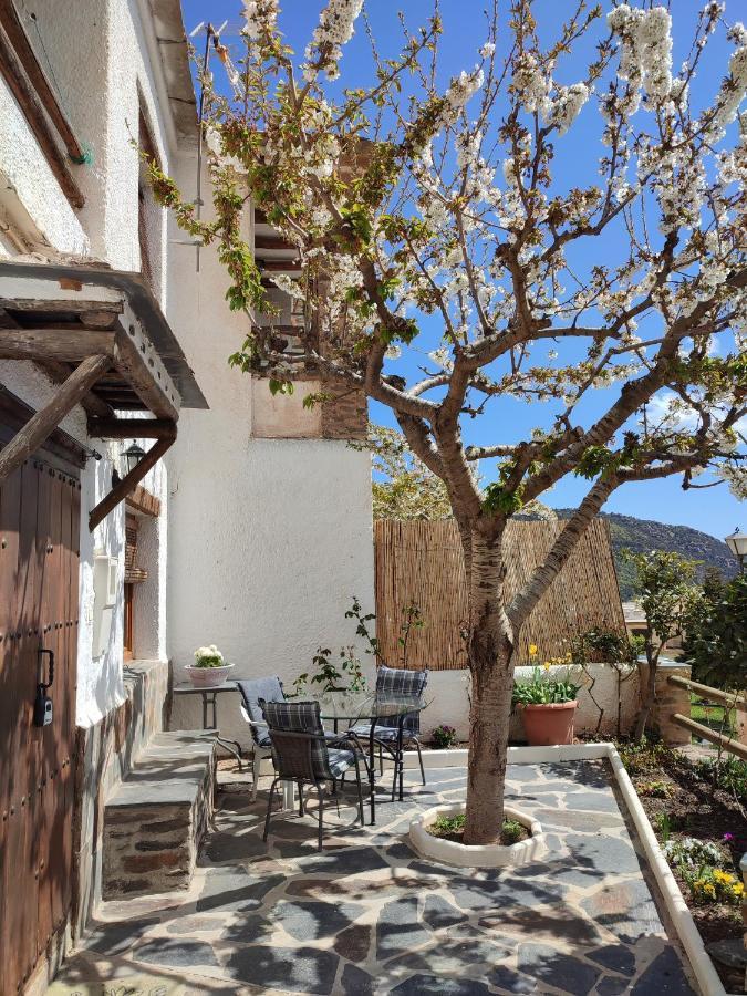 Casa Alpujarrena Fina Numero 27 Bubión Екстериор снимка