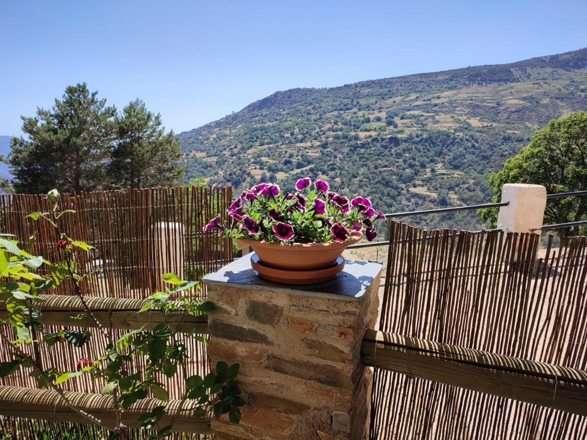 Casa Alpujarrena Fina Numero 27 Bubión Екстериор снимка