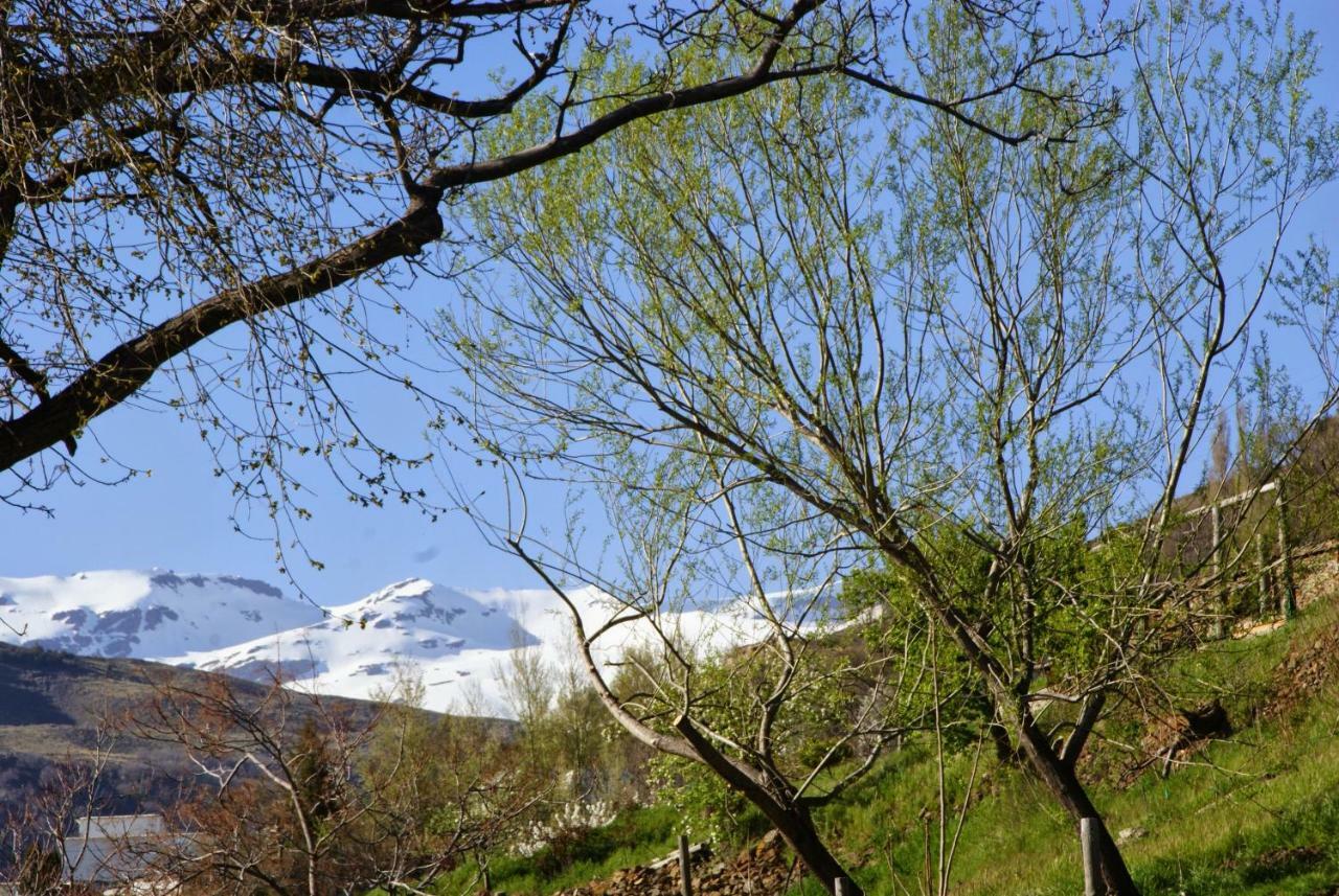 Casa Alpujarrena Fina Numero 27 Bubión Екстериор снимка